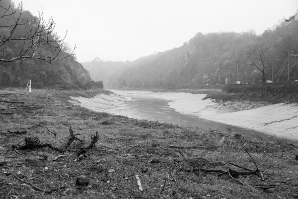 Flotsam on the banks of the Avon Gorge on a misty morning