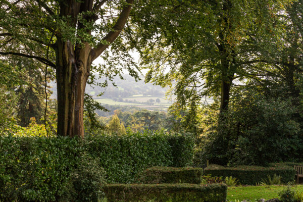 Looking through trees on the Tyntesfield estate towards the distant hills